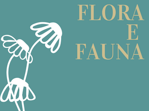 FLORA E FAUNA